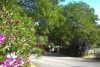 entrance laurel trees campsite basque country