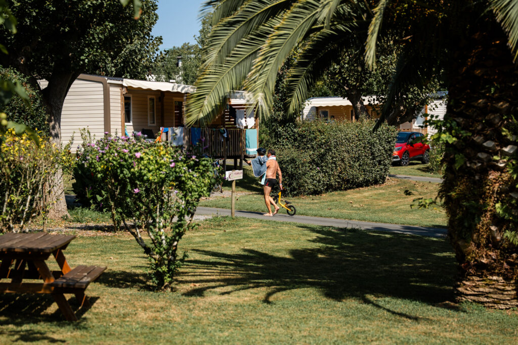 Dorrondeguy camping hendaye allées camping