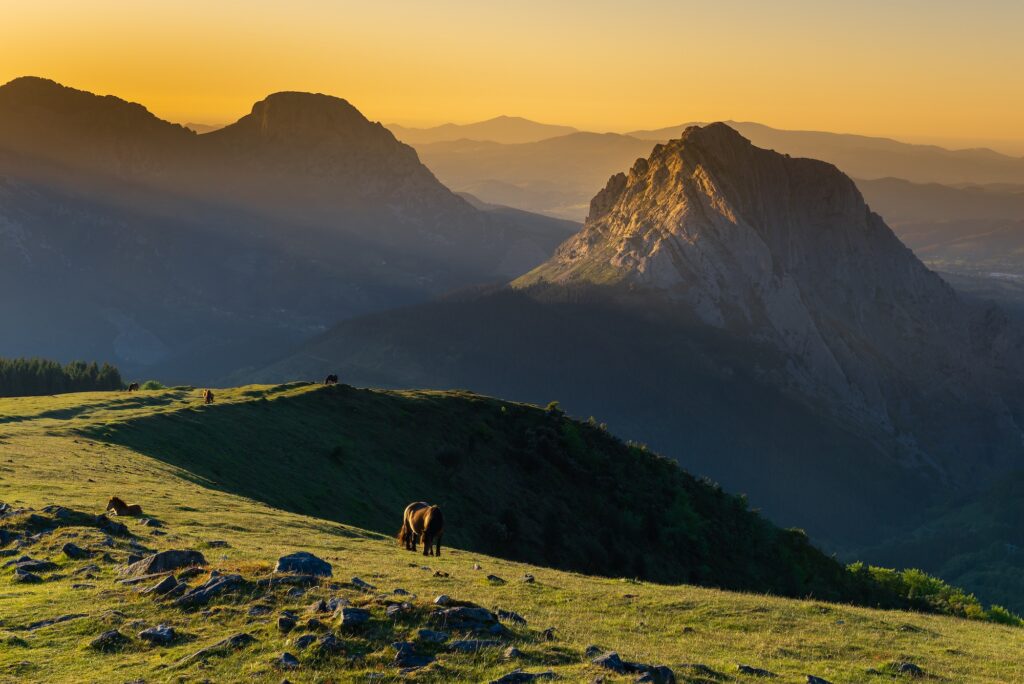 pays basque activités dorrondeguy