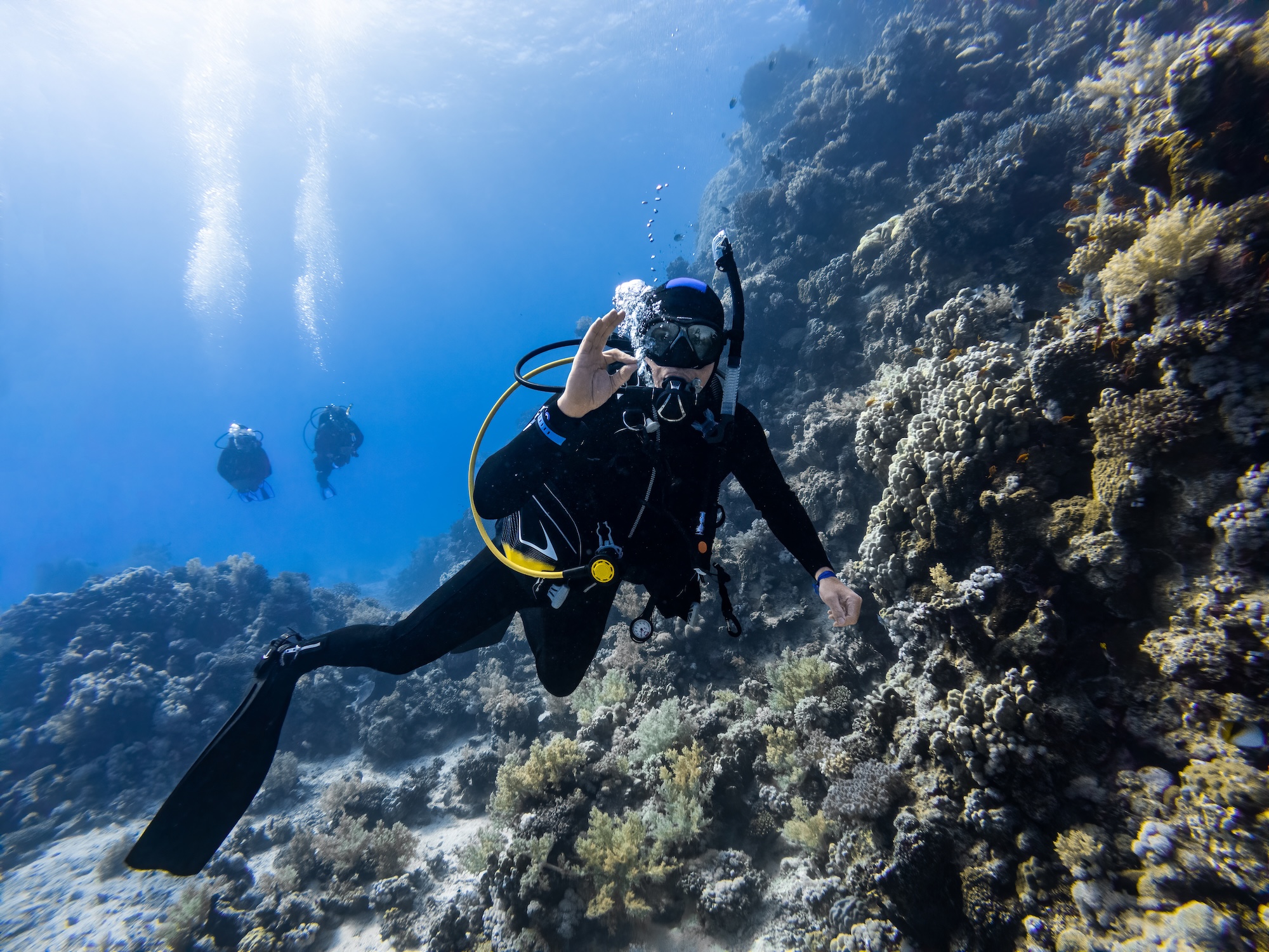 buceo hendaye Dorrondeguy